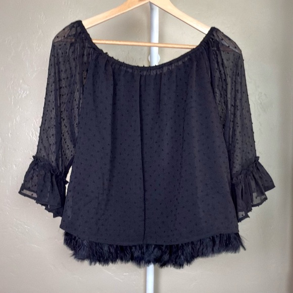 Endless Rose Black Sheer Ruffle Blouse with Feather Trim - Picture 1 of 6